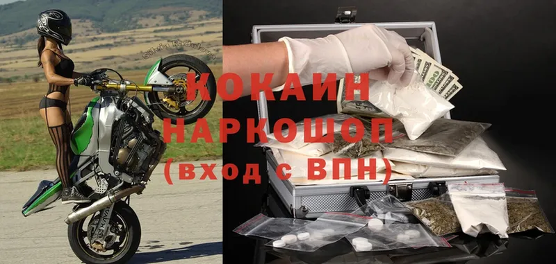 мориарти официальный сайт  купить   Грайворон  Кокаин Fish Scale 